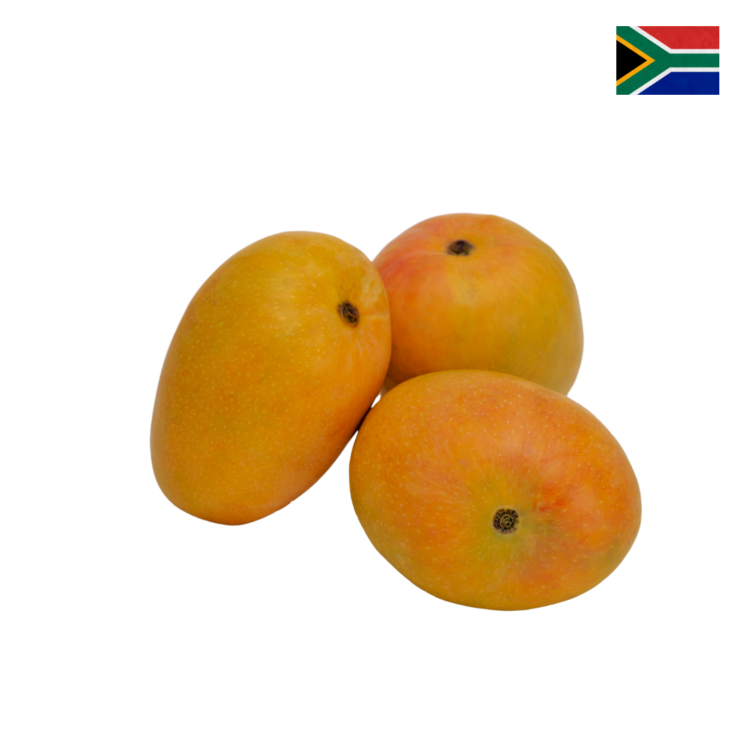 Imported Alphonso Mangoes - South Africa