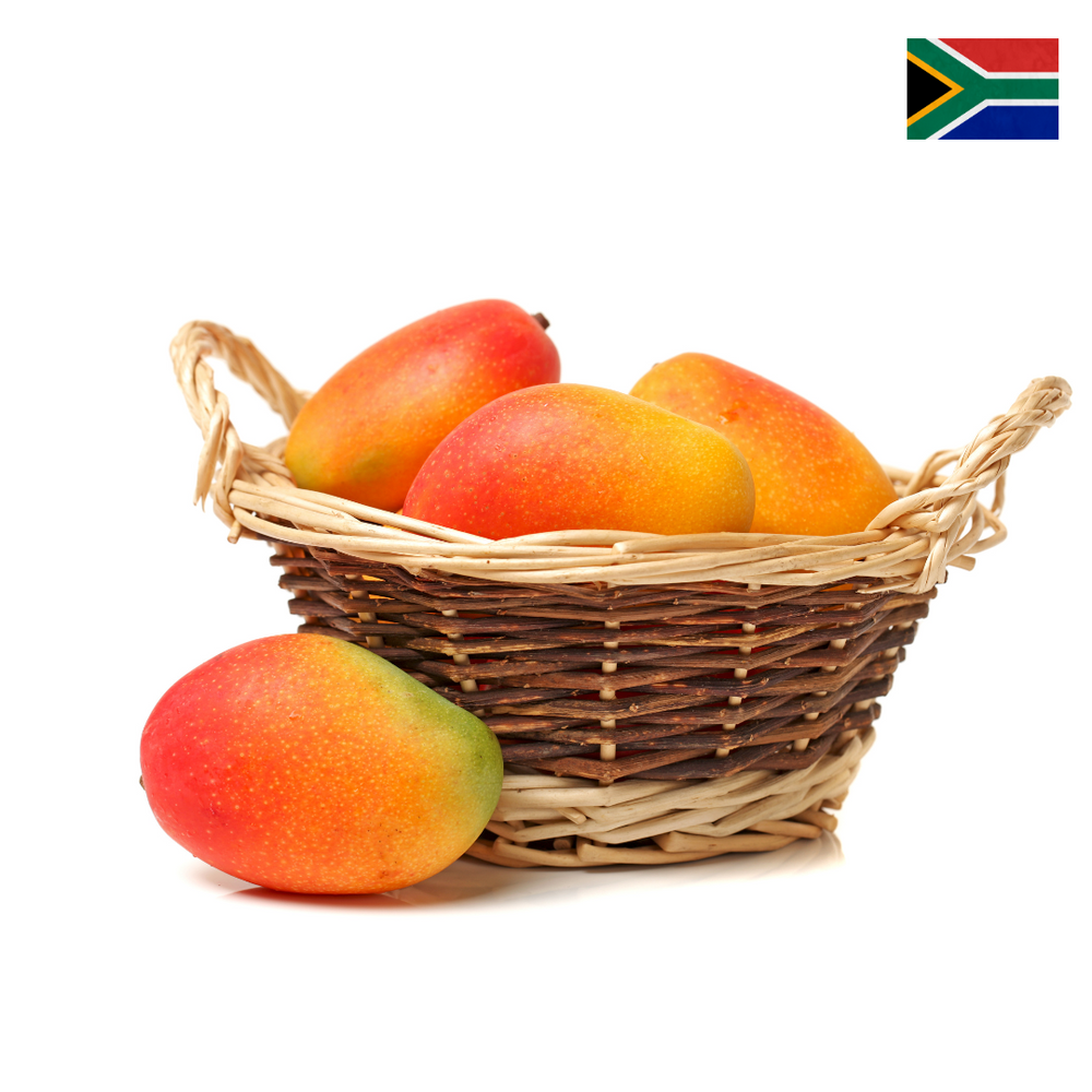 Imported Jumbo Shelley Mangoes - South Africa