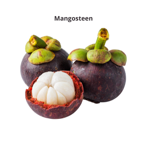 Mangosteen - Imported