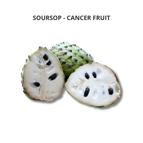 Soursop - Cancer Fruit