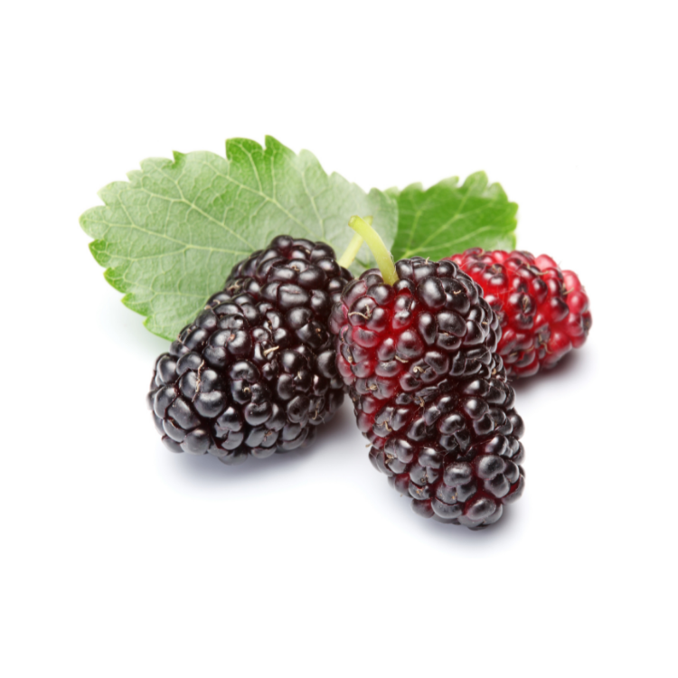 Fresh Mulberry - 180 Grams | Spotless Fruits India